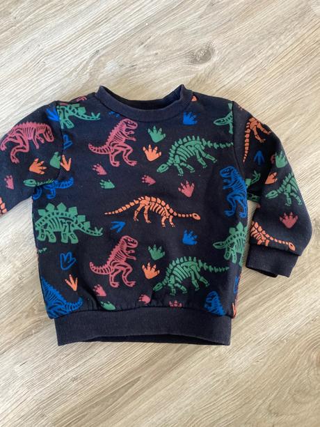 Mikina s dinosaurami, f&f,80