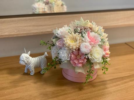 Mydlova kytica gratulačná, 