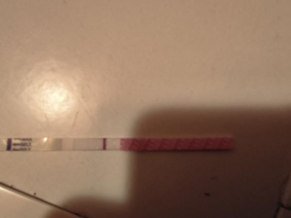 Tehotenský test po 1 dni meškania menzesu