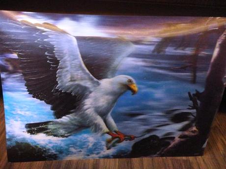 Pohyblivé obrazy 3d, 