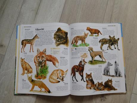Obrázková encyklopédia zvieratá., 