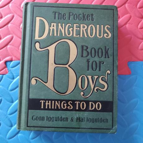 The pocket dangerous book for boys,