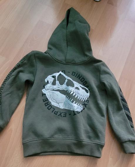 Mikina-dinosaurus, takko,116