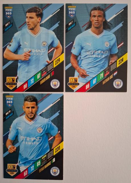 Futbalové karty fifa 365 r.2024 (1),
