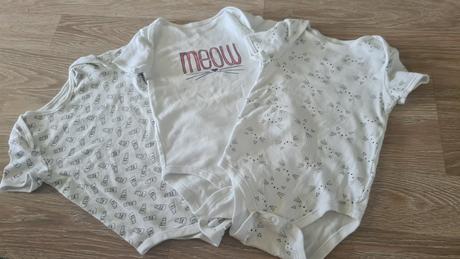 3xbody, fox & bunny,92