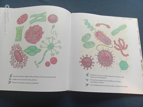 Co se skrývá v našem těle cz,