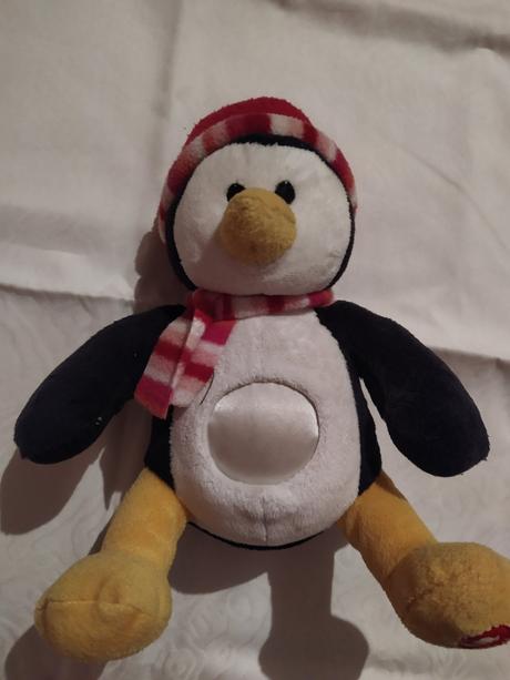 Hraci a svietiaci tucniacik, 