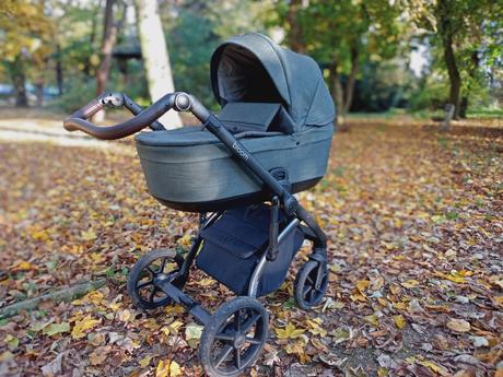 Kočík roan + vajíčko, roan,roan bloom