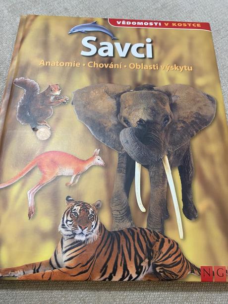 Savci vědomosti v kostce anatomie chování oblasti, 