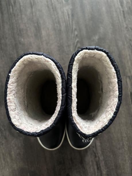 Aigle snehule, aigle,31