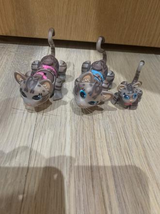 Pet paráde familia macicka, 