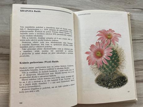 Krásna kniha o pestovaní kaktusov zelení ježci,