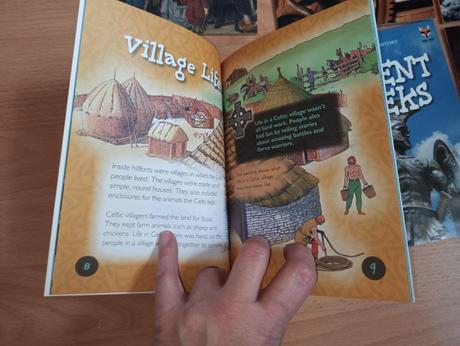 Introduction to history pb,