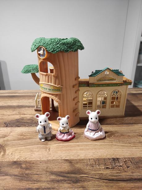Sylvanian škola, 