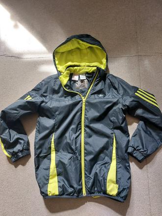 Adidas bunda, adidas,164