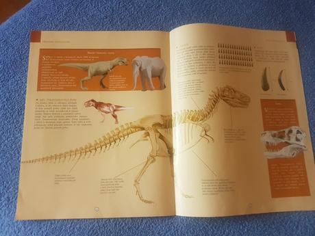 Náučná brožúra /kniha o  dinosauroch, 