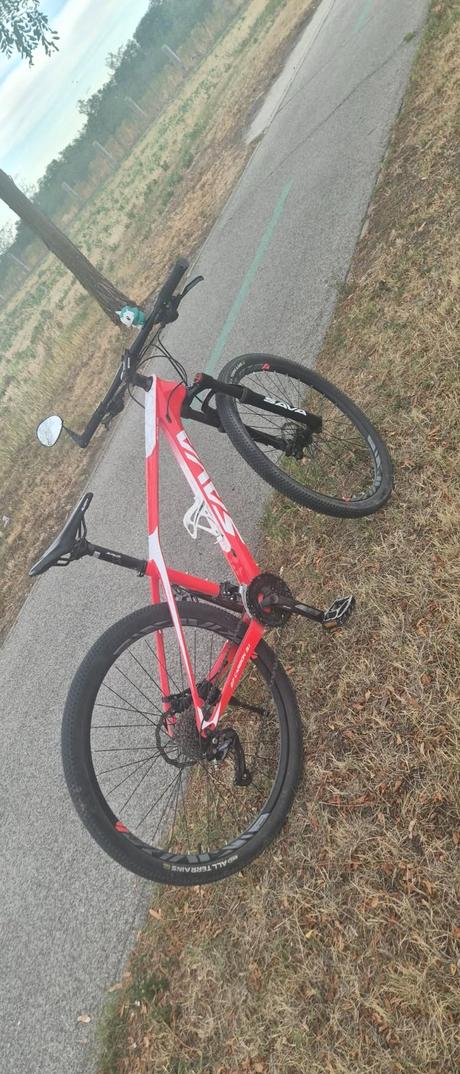 Sava 27 carbon 3.1, 26