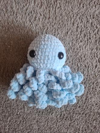 Háčkovaná chobotnička, 