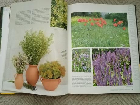 Veľká kniha sušených rastlín, 