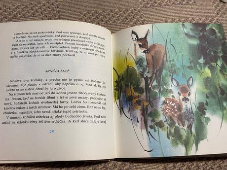 Retro kniha biely zvonček ladislav kuchta 1980, 