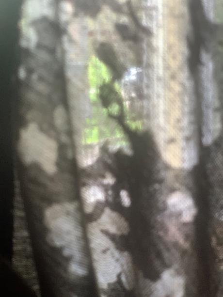 Dievcsnska mikina tenulinka priesvitna, 158