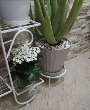 Stojan na kvety, kov, čierny a biely, 