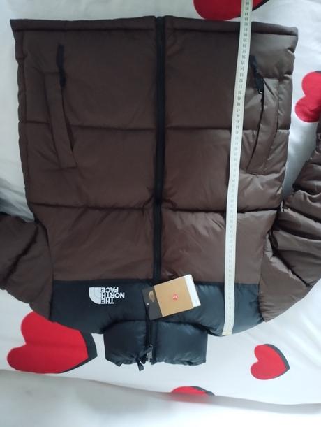 Bunda pánska the nort face, s