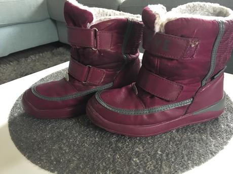 Zimné snehulky, lupilu,30