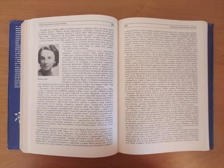 Dejiny slovenskej literatúry 1984, 