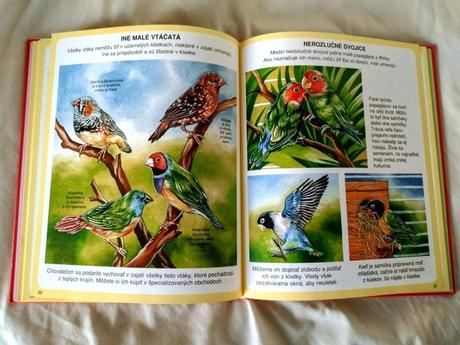 Obrázky domácich miláčikov, 