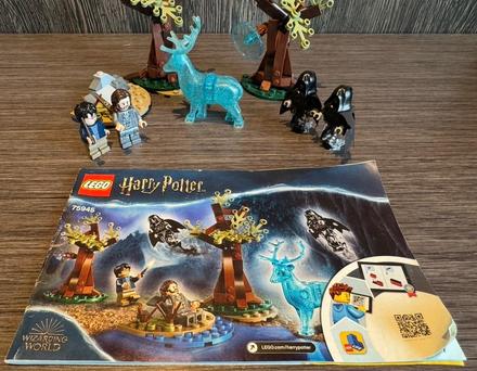 Lego expecto patrónom - 75945, 