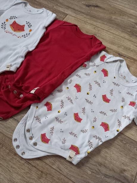 Líščičkové body, kuniboo,62