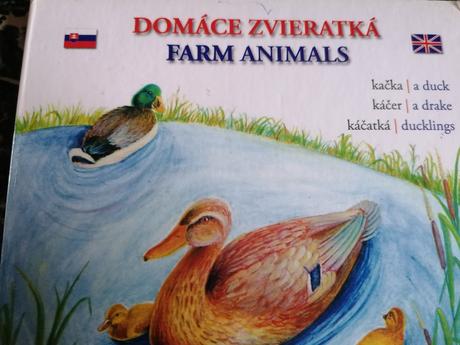 Domáce zvieratká po anglicky, 