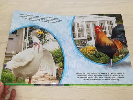 My busy book peter rabbit, 