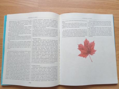 Zuzana chorvátová - kozmetikou ku kráse,