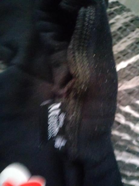 Zateplené leginy, disney,110