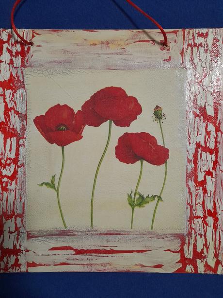 Obraz červené divé maky,