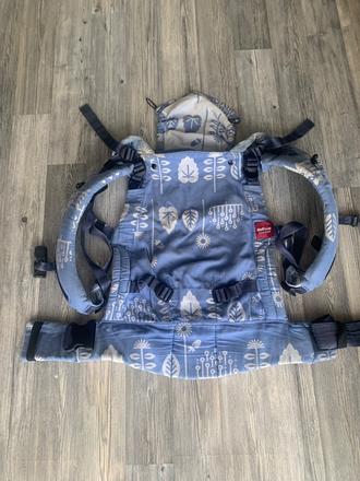 Nosic sestrice carier, sestrice