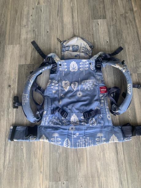 Nosic sestrice carier, sestrice