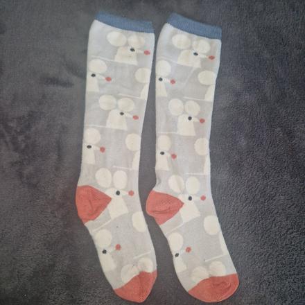 Moe podkolienky myšky, 29