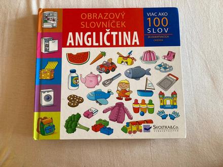 Obrázkový aj slovnik,
