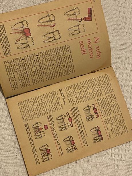 Pas - populárno-vedecký dvojtýždenník,