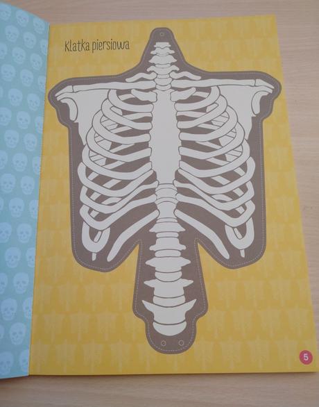 Pracovný zošit ľudské telo, 