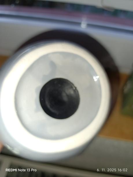 Pokladnička myška,