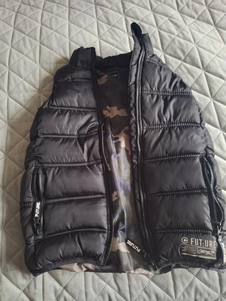 Vesta, chapter young,134