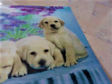 Plastová 3d podložka na výtvarnú, 