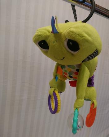 Plyšová zavesovacia žaba, bright starts, 20 cm,