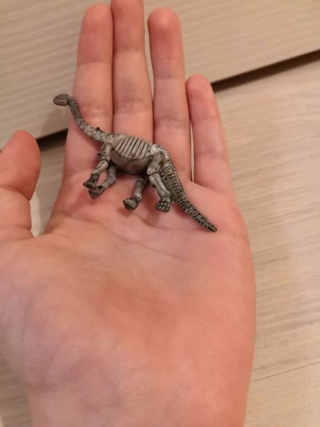 Kostra dinosaura,