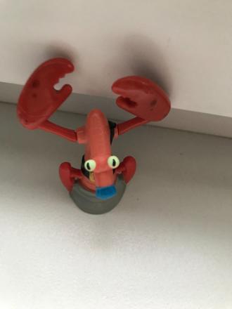 Rak zdarma, 5,5 výška cm, 