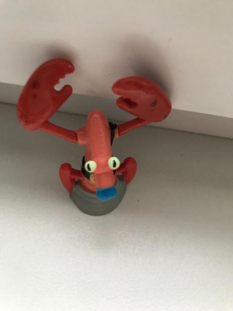 Rak zdarma, 5,5 výška cm,